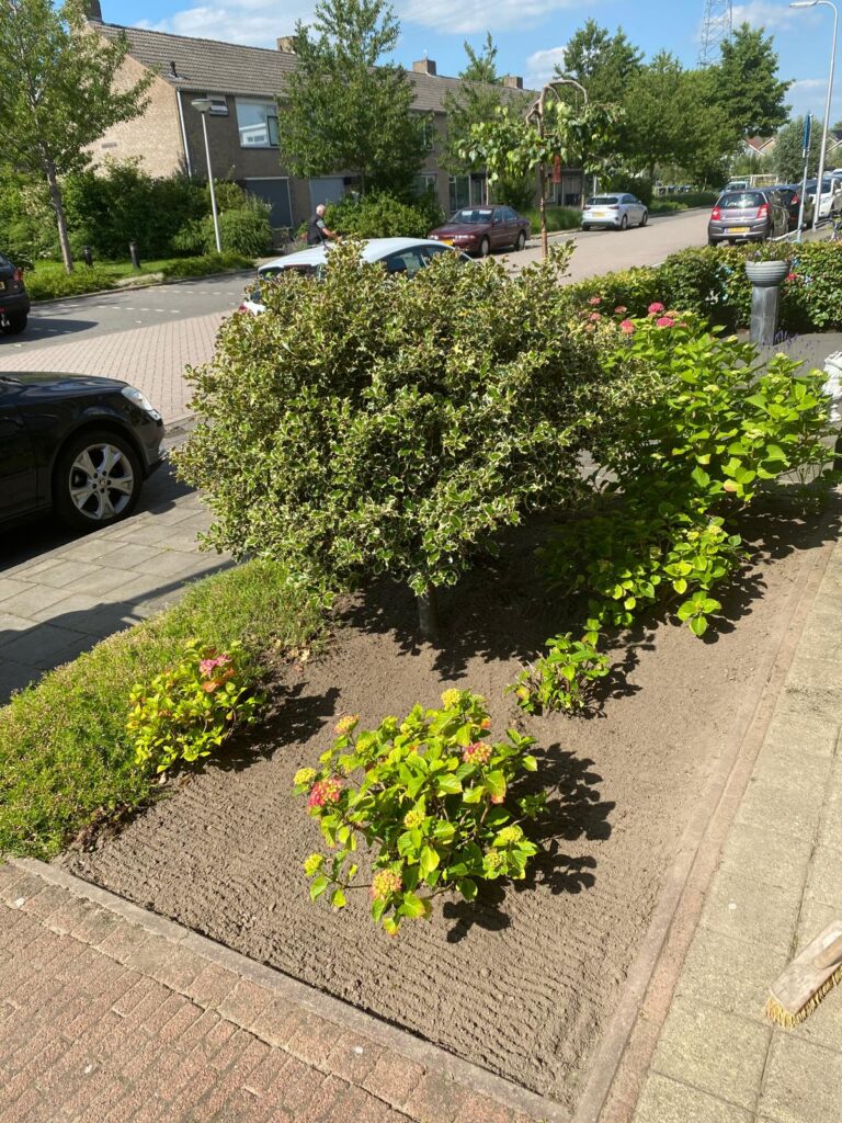 Ontdek de beste hovenier in Nieuw-Lekkerland voor een prachtige tuin