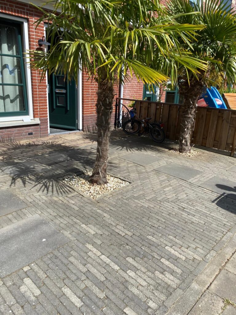 Nieuw-Lekkerland - tuinonderhoud
