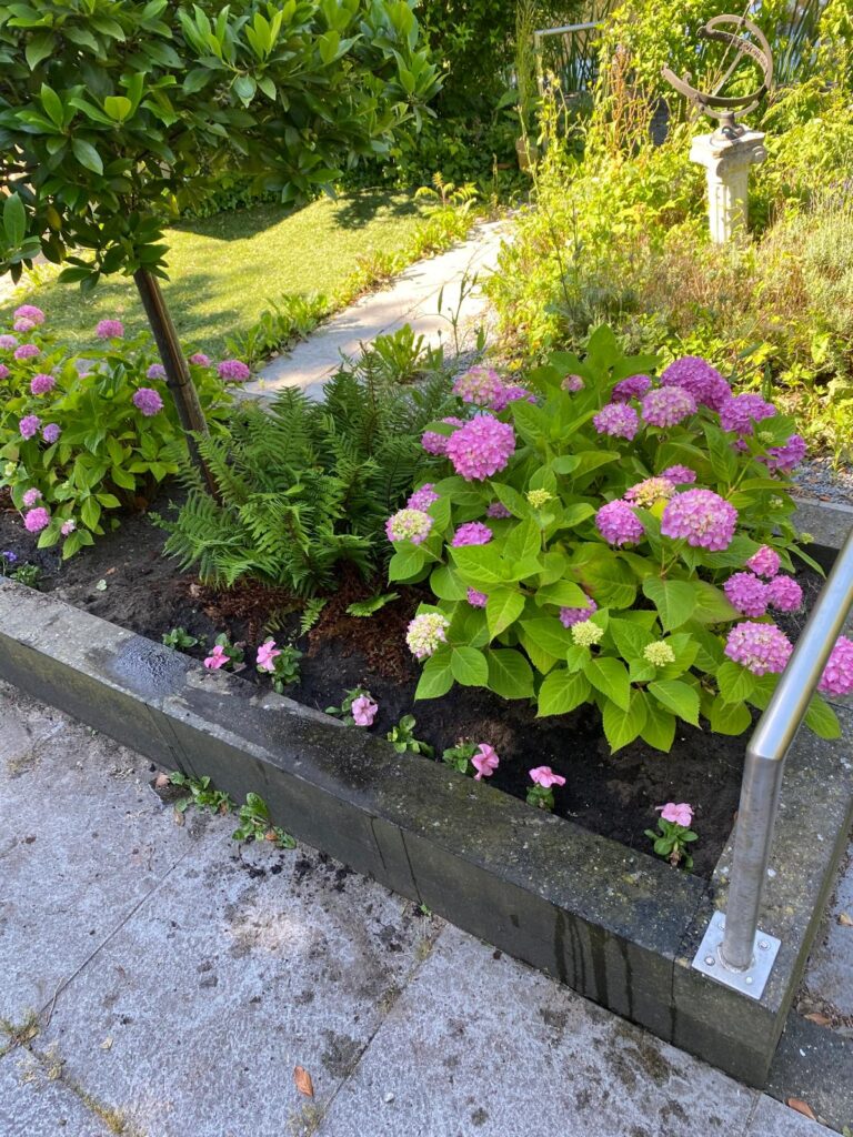 Nieuw-Lekkerland - tuinonderhoud