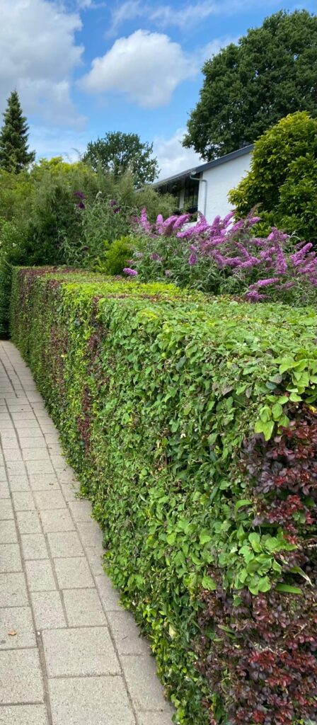 Ridderkerk- tuinonderhoud