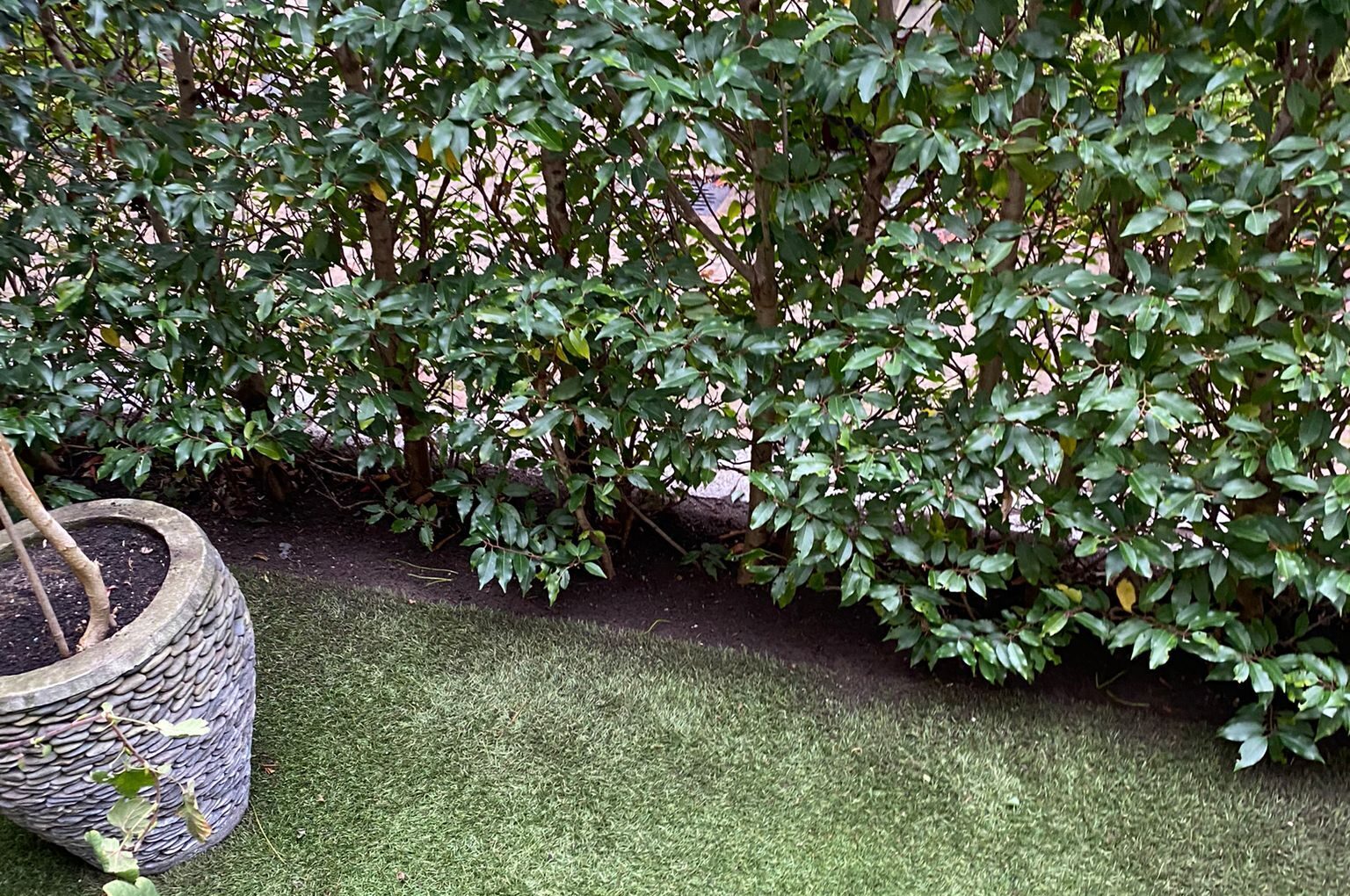 Diensten - tuinonderhoud