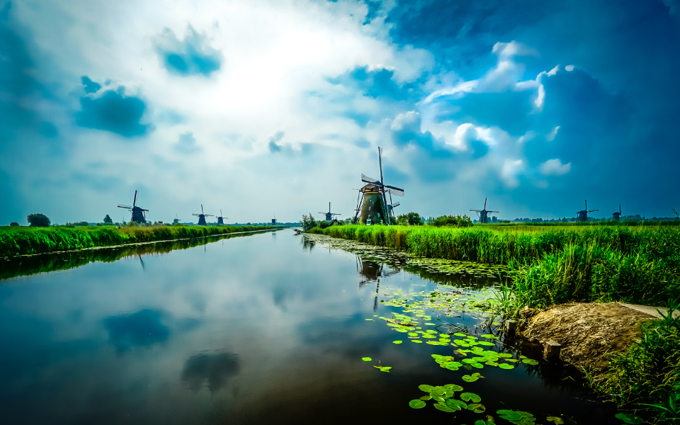 Tuinaanleg Kinderdijk