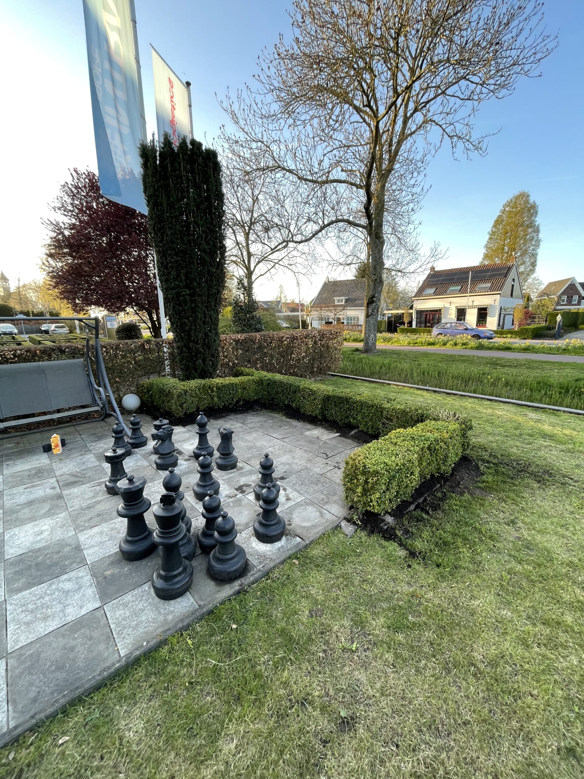 Tuinonderhoud Rijsoord 3