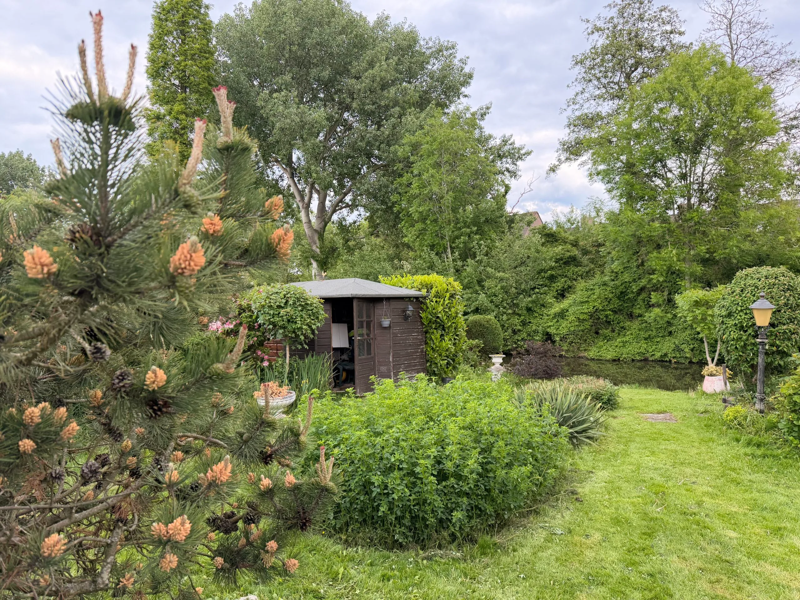 Spijkenisse Tuinonderhoud