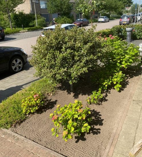 Tuinaanleg Afbeelding 02 Van Stijn Werkzaamheden